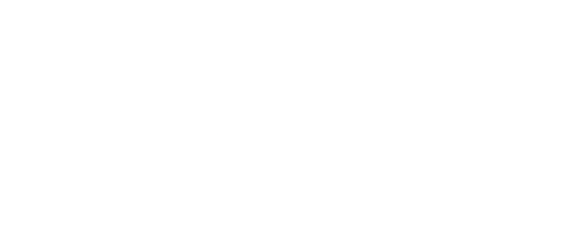 Verna logo